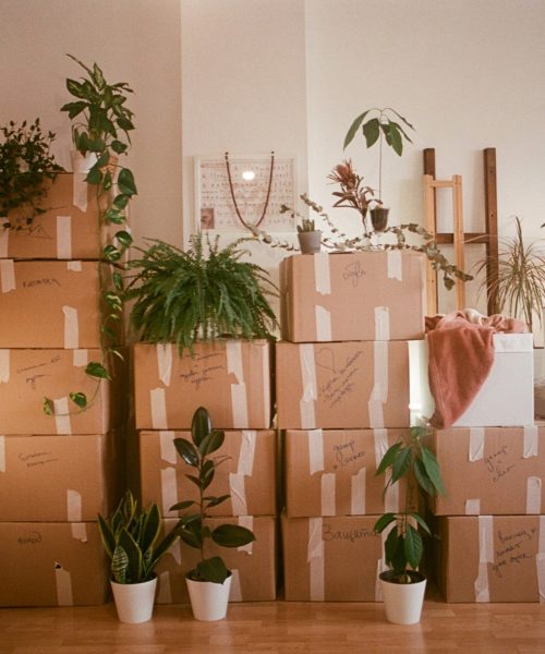 dina-badamshina-j7vbBmTHmjY-unsplash